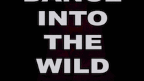 Dance Into The Wild (radio cut) - single